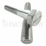 Hot Selling Exotic Alloy Nimonic 80A Fastener