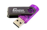 Codisk Security Locks for Software Protection