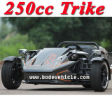New 250cc Trike Cool Sport Tricycle (MC-369)