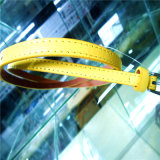 Fashion Pin Buckle PU Belt for Accessory Cloth (HJ0091)