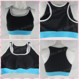 Miss Adola Women's Running Bra, Fitness Crop Top, Lingerie Activewear, Sports Wear (STBR14120201A)