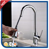 Pull out Kitchen Faucet (HC17141)