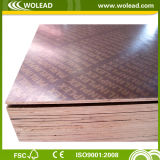 Poplar/Hardwood/Combi Core 18mm Film Faced Plywood (W15090)