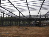 Long Life Steel Structure Shed Building