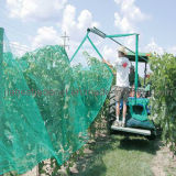 Vineyard Nets