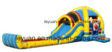 Leyuan Commercial Inflatable Slides Water Slides for Kids