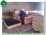 Shandong Linyi Film Faced Plywood/Marine Plywood/Construction Plywood