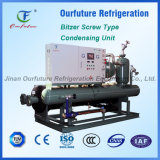 Bitzer Water Coold Screw Type Water Chiller for Cold Room