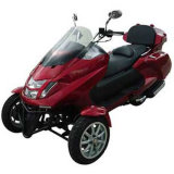 New Style Reverse Tricycles 300cc (300zk-A)