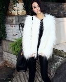 Fashion Coat for Women, Women Jacket/Winter Apparel/Fur Clothes/Fashion Clothing
