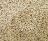 Chinese L White Sesame Seeds, Hulled Sesame Seed