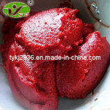 China Xinjiang HACCP Halal Bulk Tomato Paste