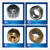 Different Kinds of Precision Brass Spur Gears