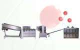 Sh-60 Die Forming Ball Lollipop Production Line