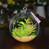 Mini Artificial Hanging Terrarium Succulent Plants