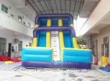 Inflatable Slide (IS-A105)