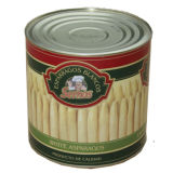 Canned Asparagus in Tin Packing with Top Quality