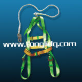 Safety Harness Hook