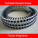 Black Phosphated Collated Drywall Screw (SW009)