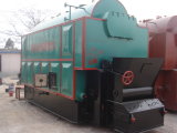Dzl Coal Fired Steam Boiler