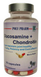 Glucosamine + Chondroitin Capsules