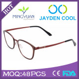 New Arrival Tr90 Combined with Stainless Frame Metal Eyewear