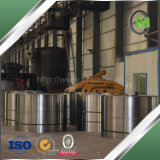 High Dimensional Precision DC01 Cold Rolled Steel Coil