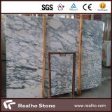 High Quality Arabescato White Marble for Sale