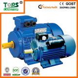 Hot Sale Y2 Series Three Phase Electric Motor