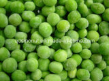 2015crop IQF Green Pea