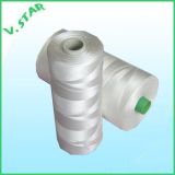 Polyester Twisted Twines/Thread 210d/2-120ply