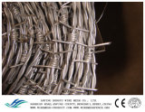 China Supplier Barbed Wire, Barbed Wire Mesh