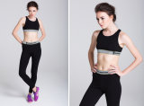 Sexy Lingerie, Fitness Crop Top Running Bra Women's Sports Wear Gym Wear Sport Suit
