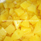 Canned Pineapple Slice, Pieces, Tidbits, Chunk, Crushed with High Quality, Best Price (HACCP, ISO, BRC, FDA, HALAL, KOSHER)