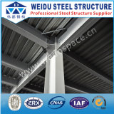 Long Span Galvanized Steel Structure (WD102131)