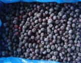 Cultivated & Wild Frozen Blueberry (GFB-010)