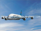 International Express Delivery for Air Cargo to Dubai, United Arab Emirates From Guangzhou, China