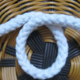 Polyester Mountain Climbing Rope (hzx008)