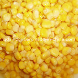 425g 340g Sweet Corn with High Quality Good Price (HACCP, HALAL, KOSHER, BRC, FDA)