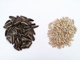 Sunflower Seeds and Kernel for Sale