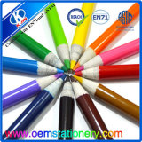 3.5 Inch 8.8*0.72cm Eco Friendly Mini Paper Color Pencil