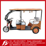 2015 New Model E Rickshaw Auto Rickshaw Battery Rickshaw Electric Tricycle