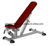 Multi-Adjustable Bench Free Weight Commercial Fitness/Gym Equipment with SGS