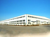 Steel Structure Warehouse /Steel Structure Factory (SSW-160)