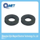 8poles Radial Ferrite Ring Strong Permanent Magnet