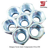 Hydraulic Fitting High Quality in Stock Hex Nuts