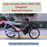 China Cheap Large Carrier 110cc Motorcycle for Sale (KN110-9)