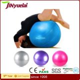 Professional Wholesale Exercise Ball