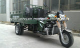 200cc for Water Cooling Cargo Tricycle (TR-24B)