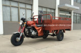 Cargo Tricycle with EEC Certificate